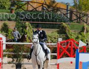 CHIAUDANI AMERICAN BLUE CampITA2013- S5 9076 : AMERICAN BLUE VAN EEKLELCHEM, CHIAUDANI NATALE, Campionati Italiani 2013, Cattolica, Horse Riviera Resort, foto di Stefano Secchi ©